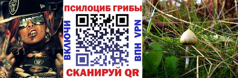 Псилоцибиновые грибы ЛСД  наркотики  Вязьма 